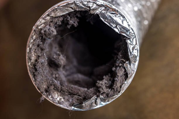 Best Best Air Duct Cleaning Company  in Bell, CA